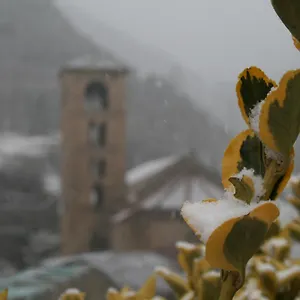 ** Pensión El Forn España